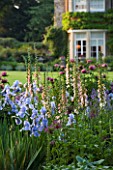THE OLD RECTORY  HASELBECH  NORTHAMPTONSHIRE - THE OLD RECTORY BEHIND WITH BORDER OF IRIS JANE PHILLIPS  DIGITALIS SUTTONS APRICOT AND PAPAVER ORIENTALE PATTYS PLUM