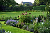 THE OLD RECTORY  HASELBECH  NORTHAMPTONSHIRE - LAWN AND HERBACEOUS BORDER PLANTED WITH IRIS JANE PHILLIPS  DIGITALIS SUTTONS APRICOT & PAPAVER PATTYS PLUM