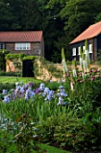 THE OLD RECTORY  HASELBECH  NORTHAMPTONSHIRE - HERBACEOUS BORDER PLANTED WITH IRIS JANE PHILLIPS  DIGITALIS SUTTONS APRICOT  PAPAVER PATTYS PLUM AND EREMURUS