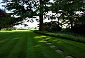 THE OLD RECTORY  HASELBECH  NORTHAMPTONSHIRE - LAWN WITH CEDAR OF LEBANON