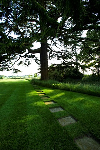 THE_OLD_RECTORY__HASELBECH__NORTHAMPTONSHIRE__LAWN_WITH_STEPPING_STONES_AND_CEDAR_OF_LEBANON