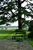 THE OLD RECTORY  HASELBECH  NORTHAMPTONSHIRE - PATIO AREA AND LAWN WITH CEDAR OF LEBANON AND WOODEN BENCH