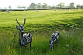 THE OLD RECTORY  HASELBECH  NORTHAMPTONSHIRE - TWO ROE DEER MADE OUT OF DRIFT WOOD BY HEATHER JANSCH WITH SHEEP IN THE BACKGROUND