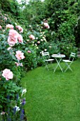 AMELIA HEATH GARDEN  1  CROSS VILLAS  SHROPSHIRE: THE SECRET GARDEN WITH LAWN  WOODEN TABLE AND CHAIRS AND ROSE NATALIE