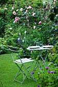 AMELIA HEATH GARDEN  1  CROSS VILLAS  SHROPSHIRE: THE SECRET GARDEN. A PLACE TO SIT - WOODEN TABLE AND CHAIRS ON LAWN SURROUNDED BY ROSES