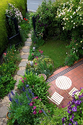 AMELIA_HEATHS_GARDEN__SHROPSHIRE_SIDE_GARDEN_WITH_ROSA_GOLDFINCH_OVER_PATIO__ROSA_OPEN_ARMS_BY_GATE_