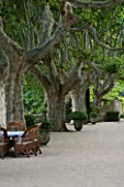 DESIGNER DOMINIQUE LAFOURCADE  PROVENCE  FRANCE - A PLACE TO SIT  WICKER CHAIRS AROUND A TABLE AND PLANE TREES. PATIO. TERRACE