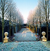 FROST COVERS PARALLEL LINES OF THE LIME WALK  WITH STEPS DOWN AT HAZELBURY MANOR GARDEN  WILTSHIRE