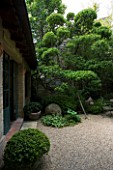 DESIGNER DOMINIQUE LAFOURCADE  PROVENCE  FRANCE - GRAVEL COURTYARD WITH TREE SCULPTED BY MARCO NUCERA