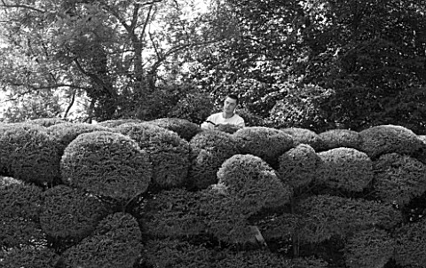 PROVENCE__FRANCE_MARCO_NUCERA_TRIMMING_A_HUGE_HEDGE_BLACK_AND_WHITE_IMAGE