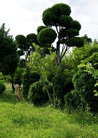 PROVENCE__FRANCE_GARDEN_OF_MARCO_NUCERA_BEAUTIFULLY_CLIPPED_TREES