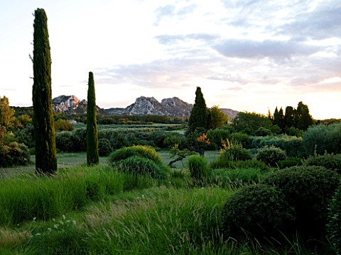 DESIGNER_ALAIN_DAVID_IDOUX__MAS_BENOIT__PROVENCE__FRANCE_VIEW_TO_MOUNTAINS_WITH_GRASSES_AND_CLIPPED_