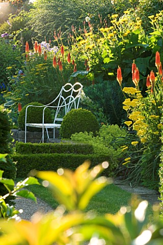 THE_OLD_RECTORY__HASELBECH__NORTHANTS_WHITE_METAL_CHAIR_SURROUNDED_BY_BOX__ACHILLEAS_AND_KNIPHOFIAS