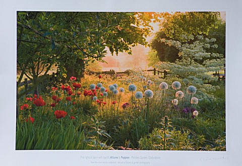 PHOTO_OF_LIMITED_EDITION_GICLEE_PRINT