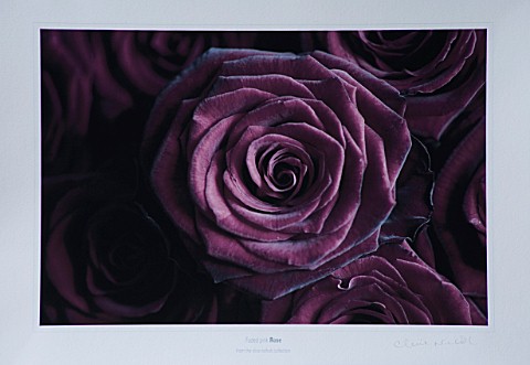PHOTO_OF_LIMITED_EDITION_GICLEE_PRINT
