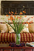 CLARE MATTHEWS HOUSE  DEVON. INTERIOR OF LIVING ROOM WITH RED & GOLD STRIPED SOFA AND VASE OF CROCOSMIA ON COFFEE TABLE. DESIGNER CLARE MATTHEWS