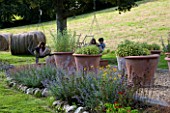 CLARE MATTHEWS GARDEN  DEVON. GRAVEL AREA WITH HERBS IN LARGE TERRACOTTA POTS AND PERENNIAL BORDER. IN THE BACKGROUND  THE CHILDREN RELAX ON SWING CHAIRS. DESIGNER CLARE MATTHEWS