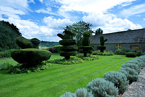 THROUGHAM_COURT__GLOUCESTERSHIRE_DESIGNER_CHRISTINE_FACER_THE_LAWN_WITH_TOPIARY_SHAPES_IN_YEW