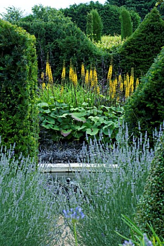 THROUGHAM_COURT__GLOUCESTERSHIRE_DESIGNER_CHRISTINE_FACER_VIEW_INTO_THE_SOLAR_POOL_WITH_LIGULARIA_TH