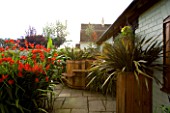 DARREN CLEMENTS GARDEN  STAFFORDSHIRE: COURTYARD WITH HOT TUB AND CROCOSMIA LUCIFER