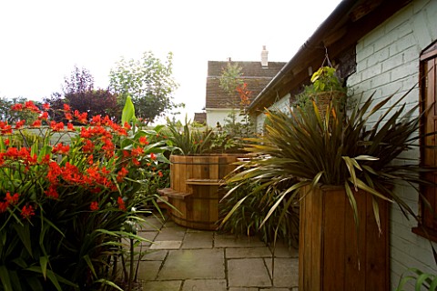 DARREN_CLEMENTS_GARDEN__STAFFORDSHIRE_COURTYARD_WITH_HOT_TUB_AND_CROCOSMIA_LUCIFER