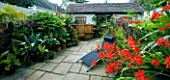 DARREN CLEMENTS GARDEN  STAFFORDSHIRE: COURTYARD WITH HOT TUB  SUNLOUNGER AND CROCOSMIA LUCIFER