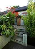 DARREN CLEMENTS GARDEN  STAFFORDSHIRE. STEPS  WITH BAMBOO  FATSIA JAPONICA AND CROCOSMIA LUCIFER