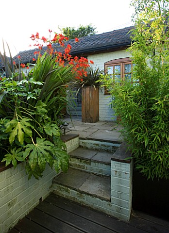 DARREN_CLEMENTS_GARDEN__STAFFORDSHIRE_STEPS__WITH_BAMBOO__FATSIA_JAPONICA_AND_CROCOSMIA_LUCIFER