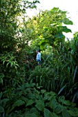 DARREN CLEMENTS GARDEN  STAFFORDSHIRE: DARREN IN AMONGST THE TROPICAL FOLIAGE OF PAULOWNIA TOMENTOSA  MISCANTHUS SINENSIS AND PHYLOSTACHYS NIGRA