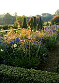 PETTIFERS GARDEN  OXFORDSHIRE. DAWN VIEW OF THE PARTERRE IN SEPTEMBER WITH AGAPANTHUS  HEADBOURNE HYBRIDS