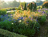 PETTIFERS GARDEN  OXFORDSHIRE. DAWN VIEW OF THE PARTERRE IN SEPTEMBER WITH AGAPANTHUS  HEADBOURNE HYBRIDS