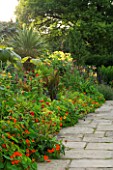 WILKINS PLECK  STAFFORDSHIRE: HOT BORDER AND STONE PATH WITH NASTURTIUMS AND CANNAS