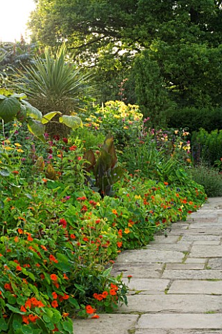 WILKINS_PLECK__STAFFORDSHIRE_HOT_BORDER_AND_STONE_PATH_WITH_NASTURTIUMS_AND_CANNAS