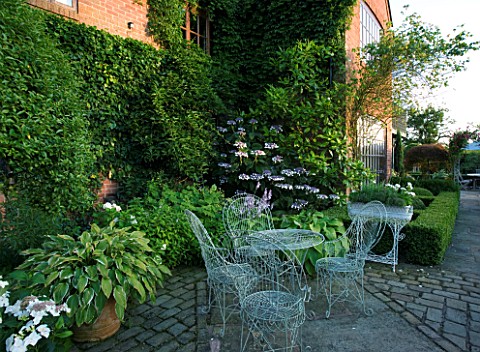 WILKINS_PLECK__STAFFORDSHIRE_PATIO_AT_THE_BACK_OF_THE_HOUSE_WITH_HOSTAS_IN_TERRACOTTA_CONTAINERS___M