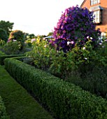 WILKINS PLECK  STAFFORDSHIRE: THE LAWN WITH FORMAL ROSE BEDS AND CLEMATIS JACKMANII AND CLEMATIS ETOILE VIOLETTE. HOUSE IN THE BACKGROUND