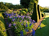PETTIFERS GARDEN  OXFORDSHIRE: THE PARTERRE IN AUTUMN PLANTED WITH  AGAPANTHUS HEADBOURNE HYBRIDS