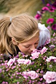 GIRL (AGED 15) SMELLING FLOWERS IN A CONTAINER. HAZEL NICHOLS