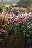 LADY FARM  SOMERSET: DESIGNER  JUDY PEARCE - NEW PERRENIAL BORDER IN MORNING LIGHT WITH SEDUMS  ECHINACEA AND ANEMONES