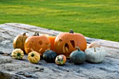 HALLOWEEN: STILL LIFE ON OUTDOOR WOODEN TABLE WITH PUMPKINS  SQUASHES AND GOURDS