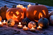 HALLOWEEN: STILL LIFE ON WOODEN TABLE AT NIGHT WITH CANDLES  PUMPKINS  SQUASHES AND GOURDS