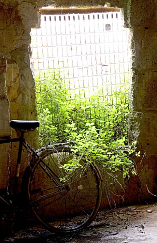 SUITEDO_BICYCLE_IN_OLD_BUILDING_IN_SANTANYI__MALLORCA