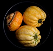 SQUASHES IN A BLACK BOWL WITH BLACK BACKGROUND