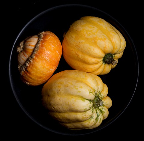 SQUASHES_IN_A_BLACK_BOWL_WITH_BLACK_BACKGROUND