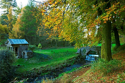 CASTLE_HILL__DEVON_AUTUMN_COLOUR_FROM_A_BEECH_TREE_WITH_A_STREAM_AND_THE_UGLY_BRIDGE_AND_SATYRS_TEMP