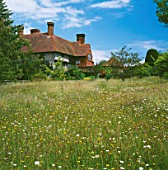 THE WILDFLOWER MEADOW AT GREAT DIXTER  SUSSEX