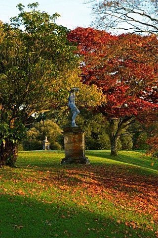 CASTLE_HILL__DEVON_AUTUMN_COLOURS_OF_MAPLES_ON_THE_TERRACES_WITH_STATUES