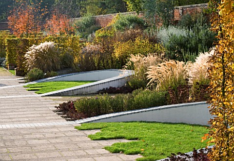 MARKS_HALL__ESSEX__AUTUMN_COLOUR_IN_THE_WALLED_GARDEN__BEECH_HEDGING__SEDUMS_AND_GRASSES_IN_THE_MEAN