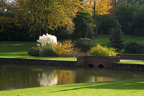 MARKS_HALL__ESSEX__AUTUMN_COLOUR_BESIDE_THE_LAKE_WITH_PAMPAS_GRASS