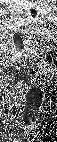FOOTPRINT_IN_FROSTY_GRASS_LAWN_BLACK_AND_WHITE_IMAGE