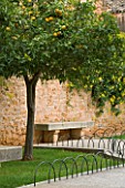 SUITE.DO. ORANGE TREE AND STONE SEAT BESIDE AN OLD WALL. SANTANYI  MALLORCA  SPAIN